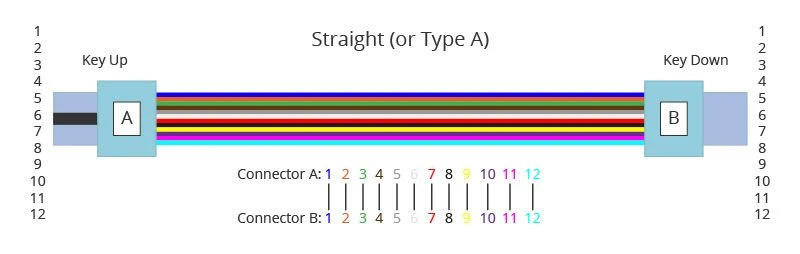 Type A cable, also known as straight cable
