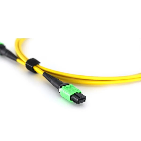 MPO-MPO Yellow 3