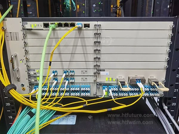 Podeu dissenyar una solució de transport DWDM 1 X 200G?